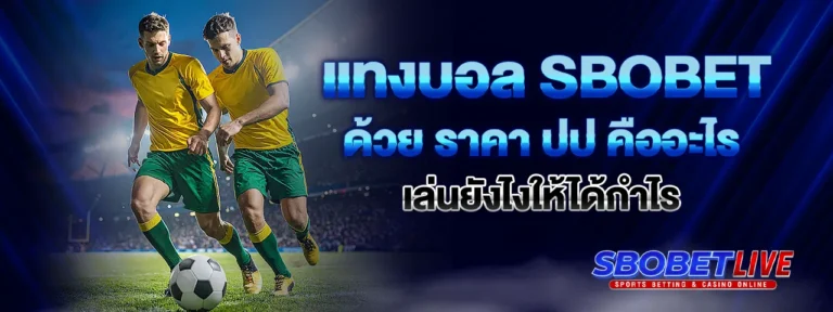 Read more about the article แทงบอล Sbobet ด้วย ราคา ปป คืออะไร เล่นยังไงให้ได้กำไร